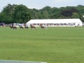Marquee at polo match